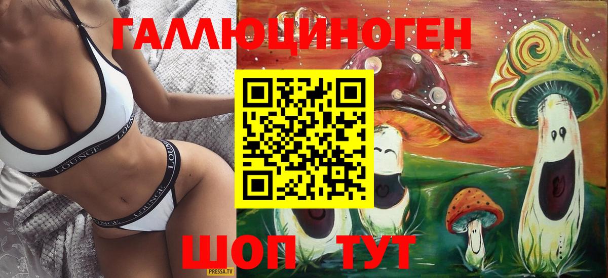 Галлюциногенные грибы Psilocybe Мытищи